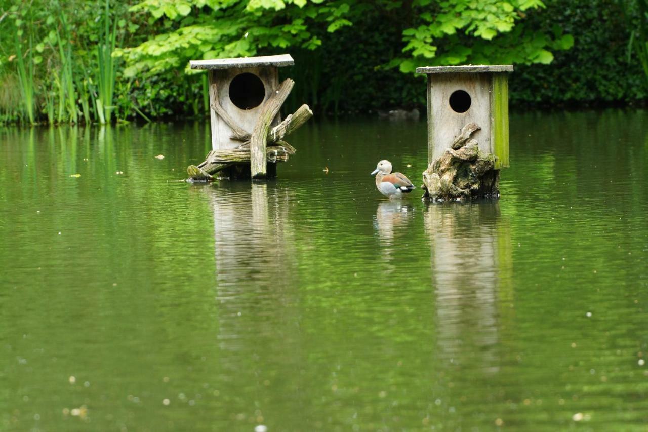 Gaestewohnung Hardinghaus Am Teich Варендорф Экстерьер фото